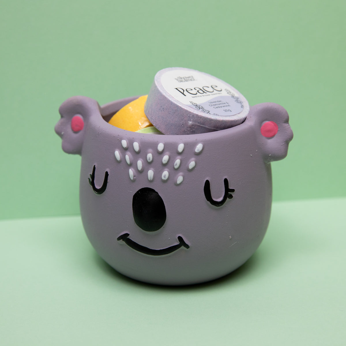 Koala Gift Pack
