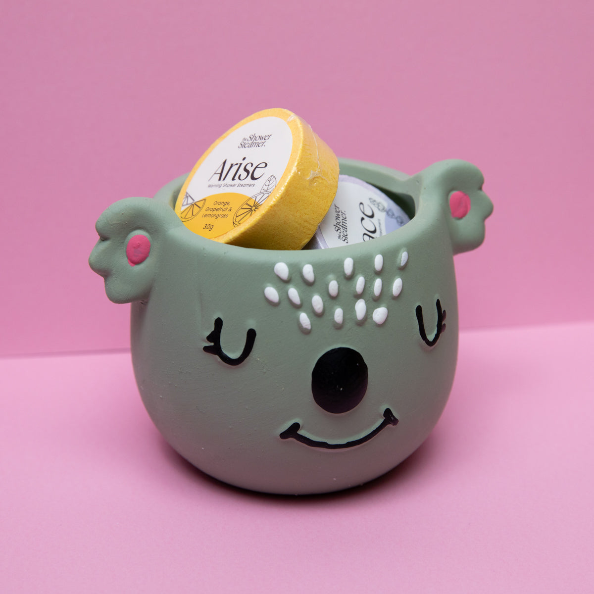 Koala Gift Pack